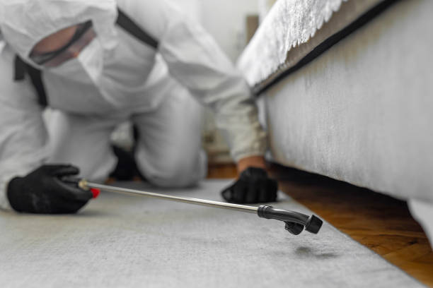 Professional Termite Control technician working in Lindstrom, MN